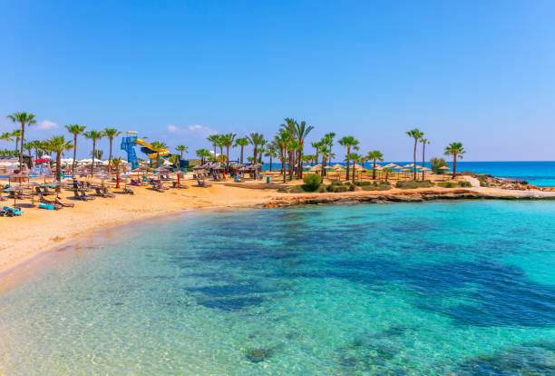 Tropical beach with crystal-clear turquoise water, white sand, palm trees, and beach loungers under a blue sky.